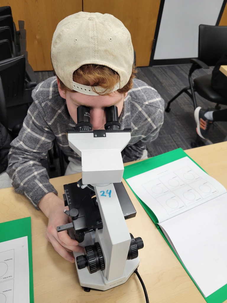 Way student using a microscope