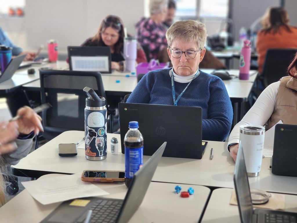 Adult sitting at a desk, working on a laptop.