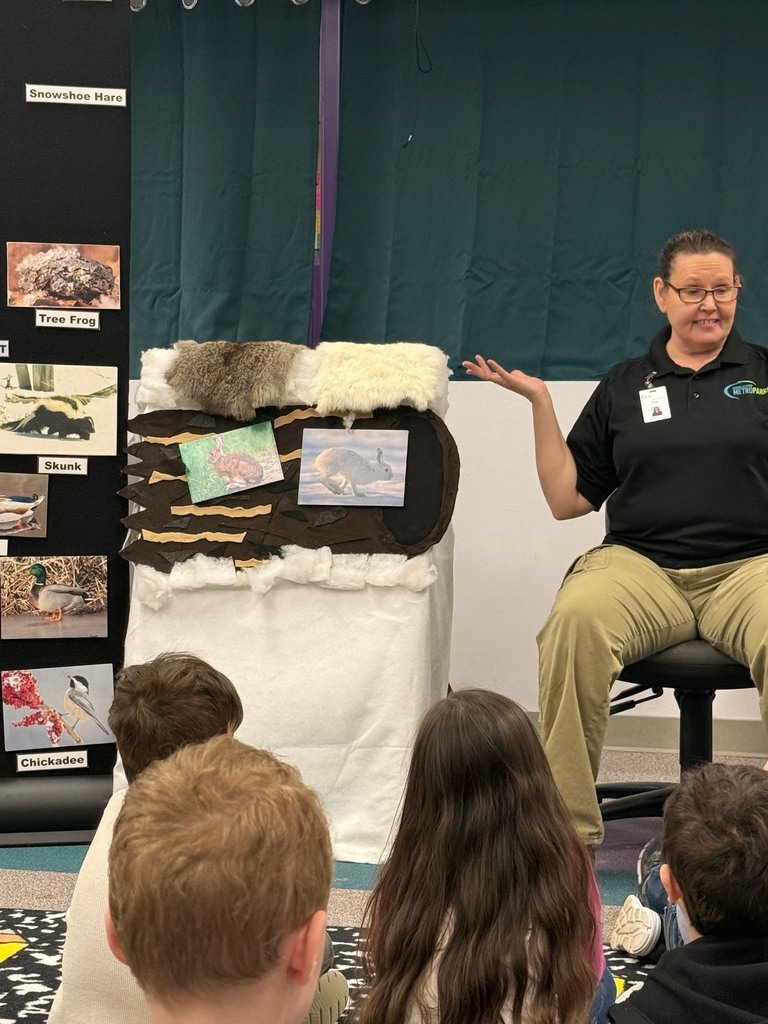 Preschool children participating in a classroom presentation from Kensington Metropark, learning about various colored rabbit furs.