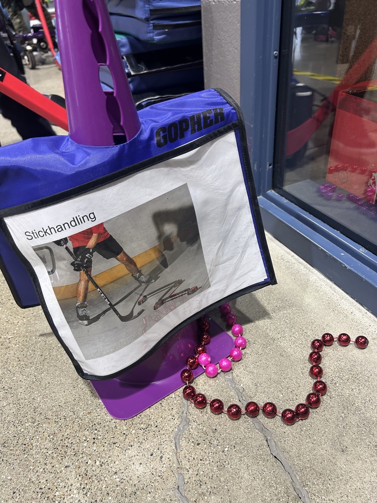 picture of hockey visual