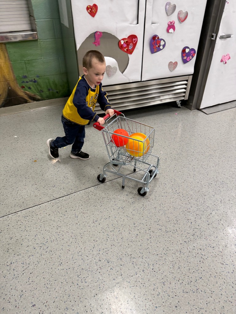 A preschool child pushes a small toy shopping cart holding two colorful balls across a gym floor.