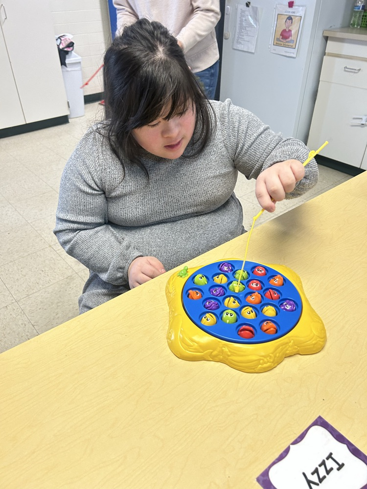 playing with fish toy