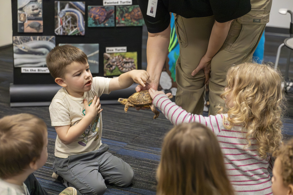 Young boy and girl touching a live turtle.