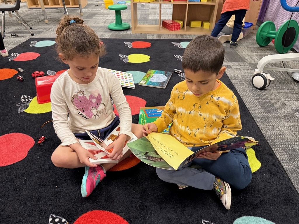 Two preschoolers sit on a classroom rug looking at books together, turning pages and focused on reading during free play.