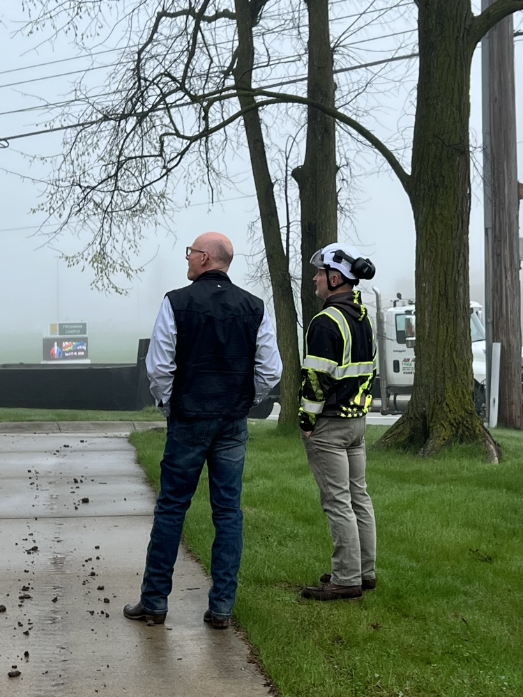 Two men look on while a tree is being cut down 