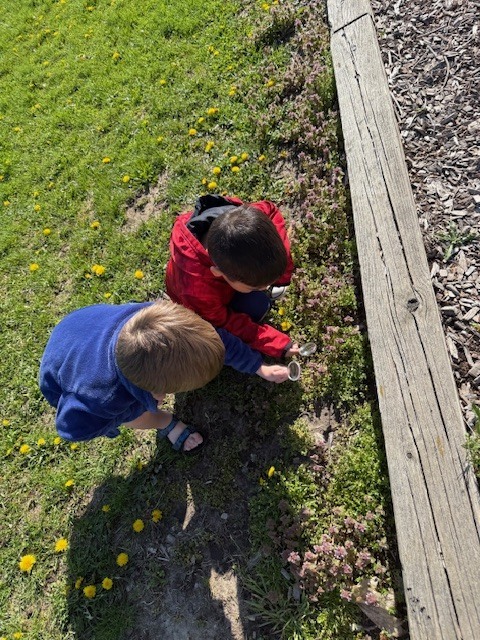 Two preschool children kneel outside in the grass, using magnifying glasses to closely examine small flowers and plants.
