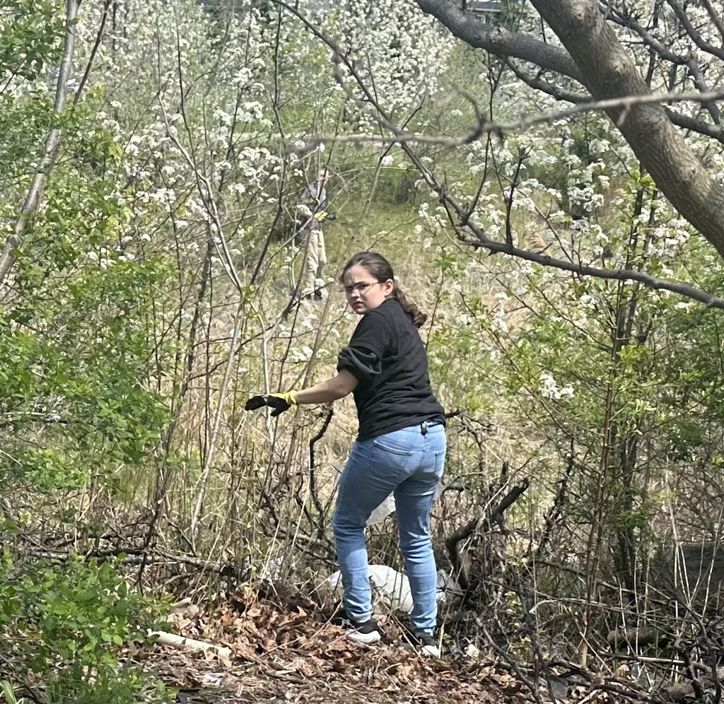 A person in a black shirt and blue jeans works in a wooded area filled with white spring blossoms, reaching down toward the ground.
