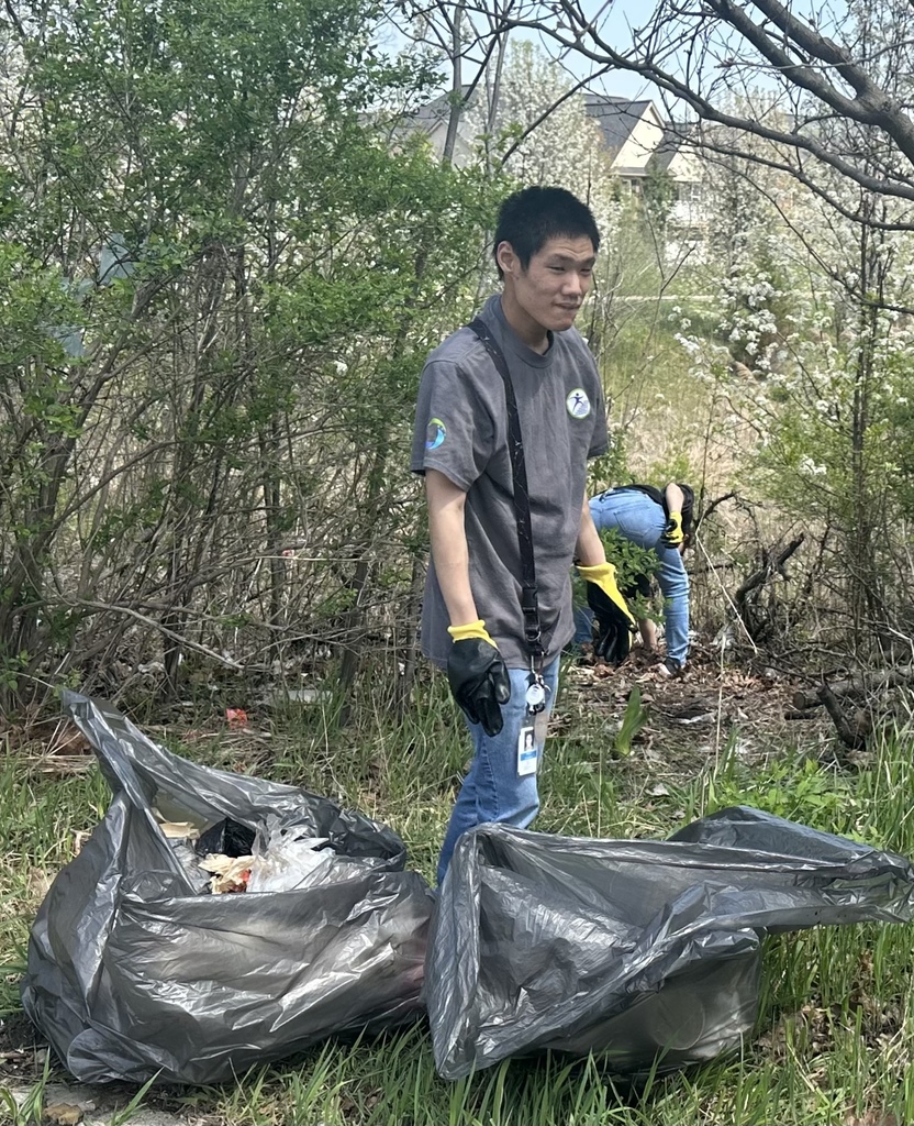 A person wearing yellow and black work gloves and a grey Livingston ESA shirt stands next to two large, full trash bags in a grassy area.