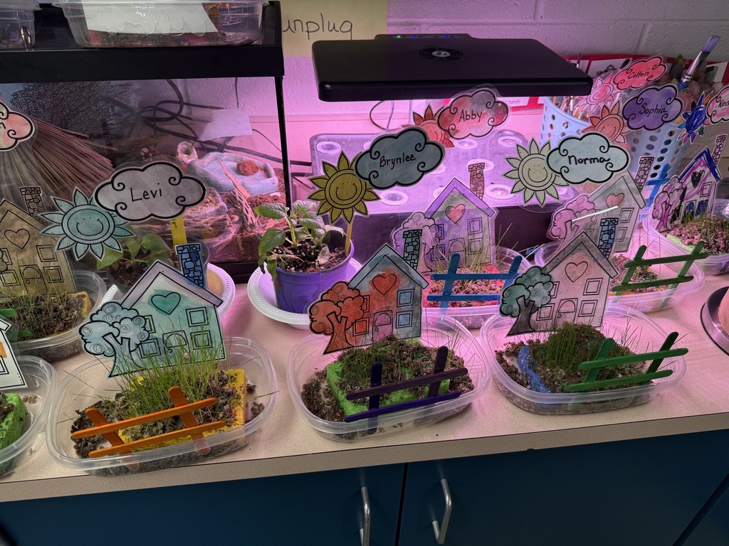Preschool grass-growing projects displayed in containers with handmade paper houses, fences, and name signs in a classroom.