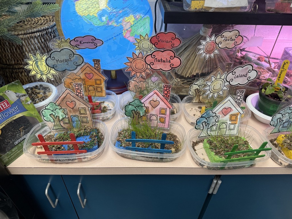 Preschool grass-growing projects displayed in containers with handmade paper houses, fences, and name signs in a classroom.