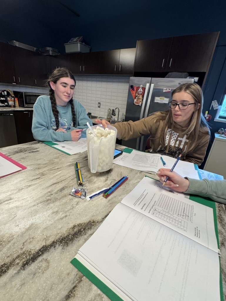 Two young ladies working together with notebooks.
