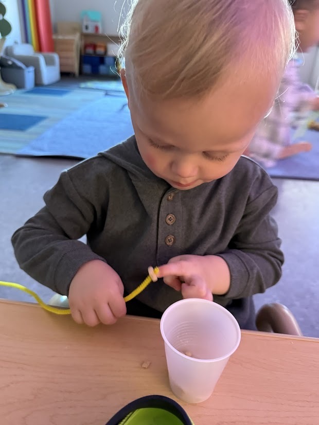 A young child concentrates on threading cereal onto a pipe cleaner and placing it into a cup during a fine motor activity.