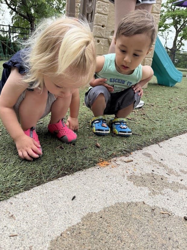 Two children crouch on the playground, carefully observing a small bug on the ground during outdoor exploration.