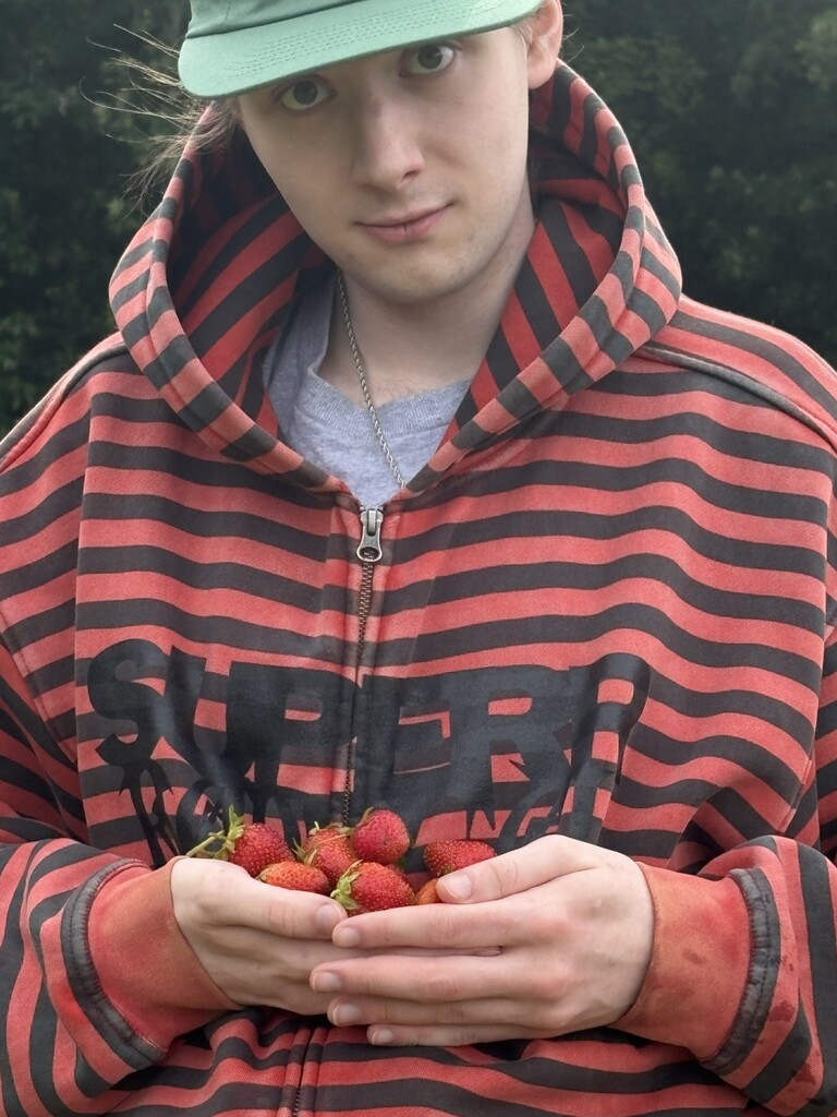 A close-up shot of a young person wearing a green cap and a red-and-black striped hooded sweatshirt, gently cradling a small handful of freshly picked strawberries.