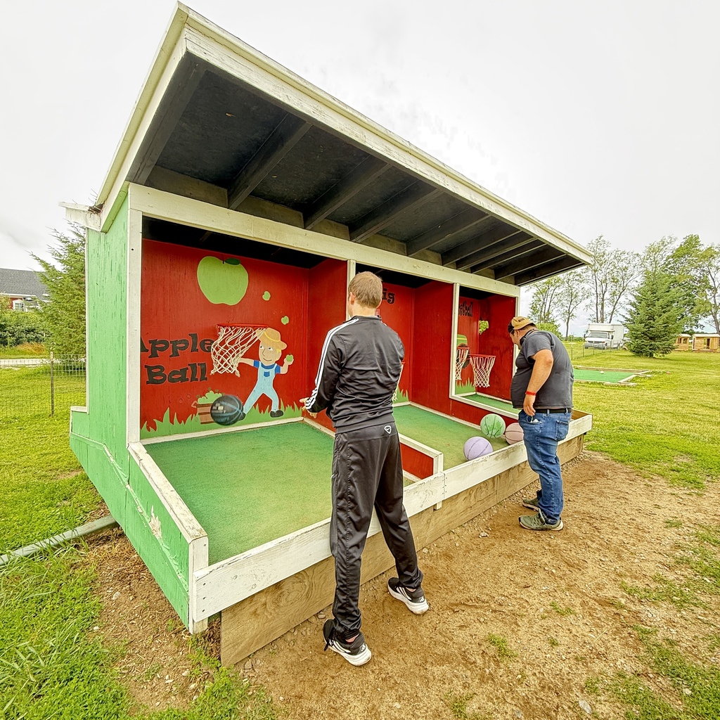 Two young men play an outdoor arcade-style basketball game housed in a green wooden structure labeled "Apple Ball." Colorful balls lie in the lanes, and the backboard features a painting of an apple and a cartoon boy.