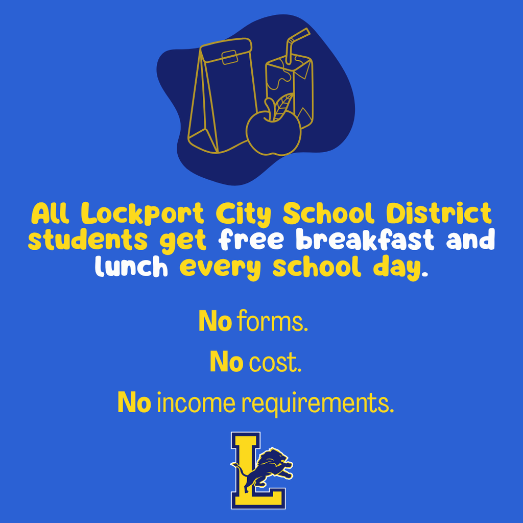 Lockport resource guide