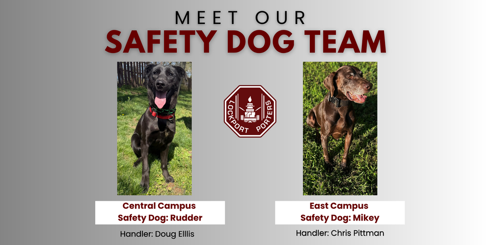 Safety Dog Program