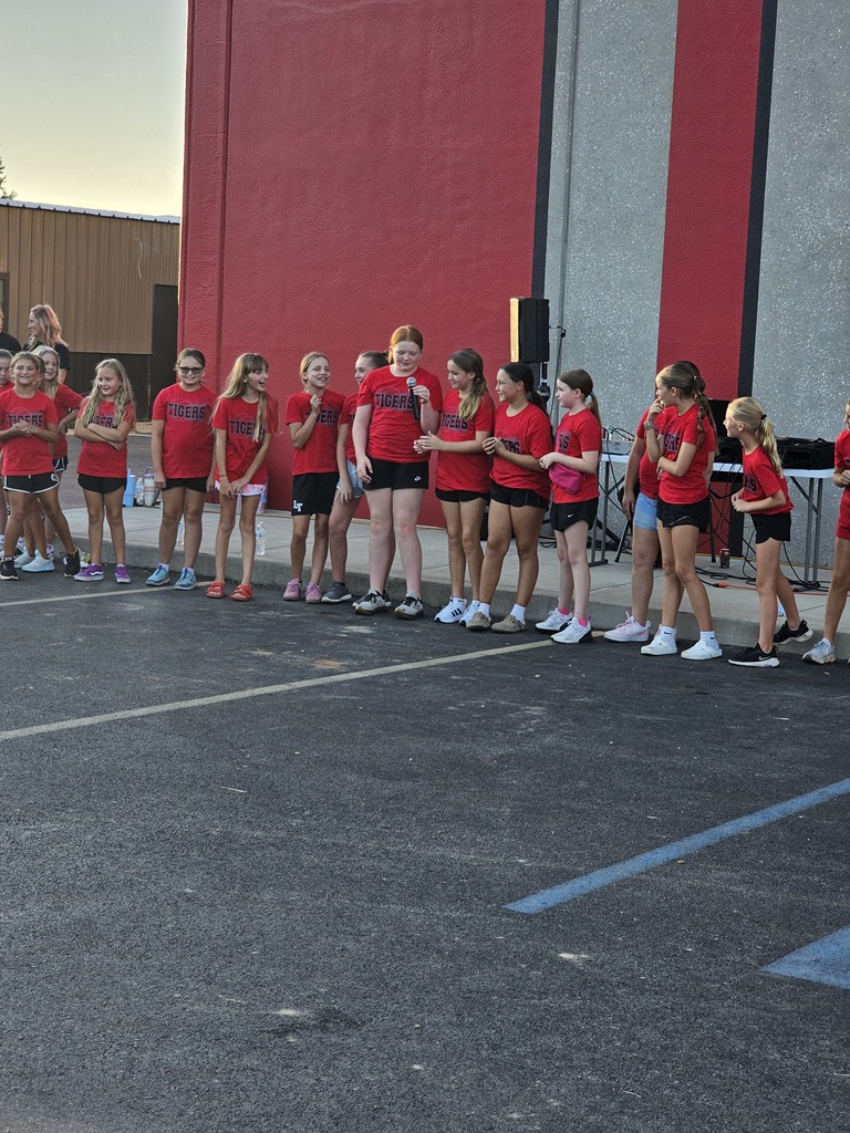 Youth Volleyball