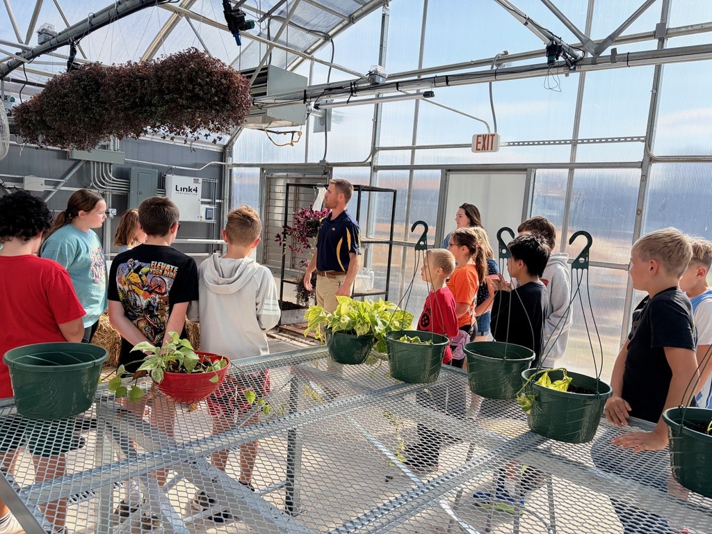 Greenhouse Fun