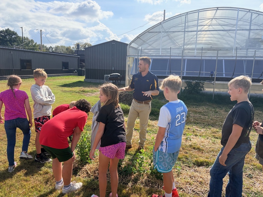 Greenhouse Fun