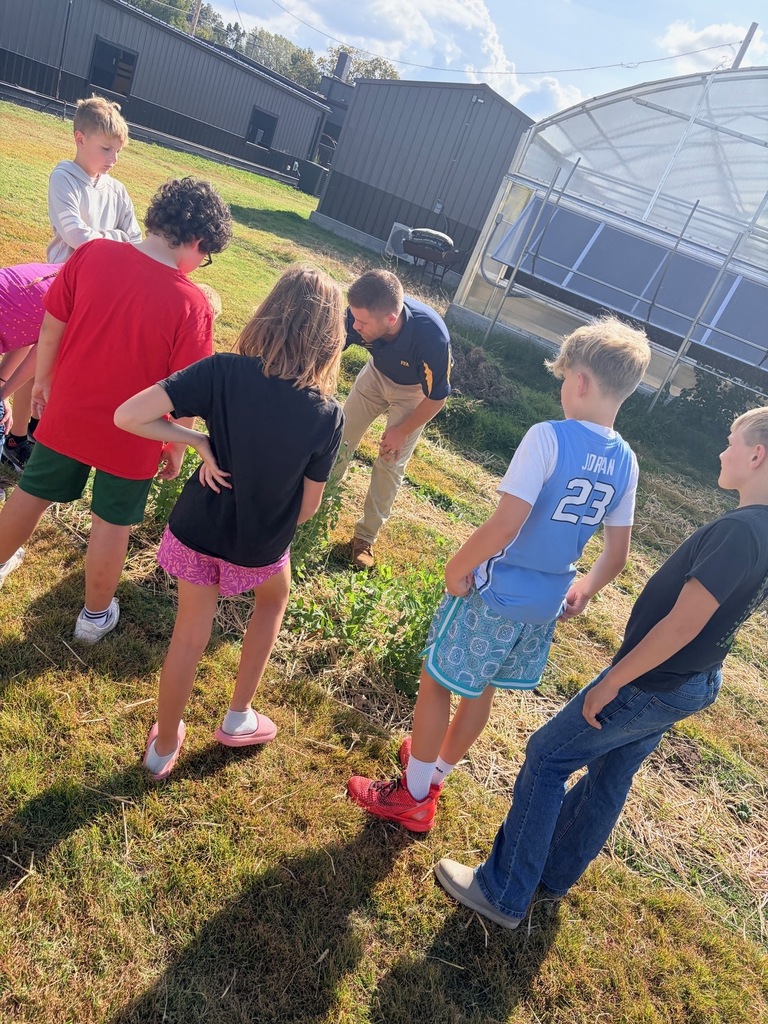 Greenhouse Fun