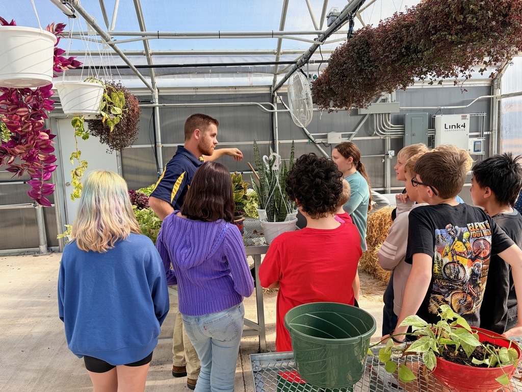 Greenhouse Fun