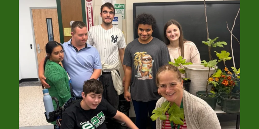 Garden Club Fig Trees