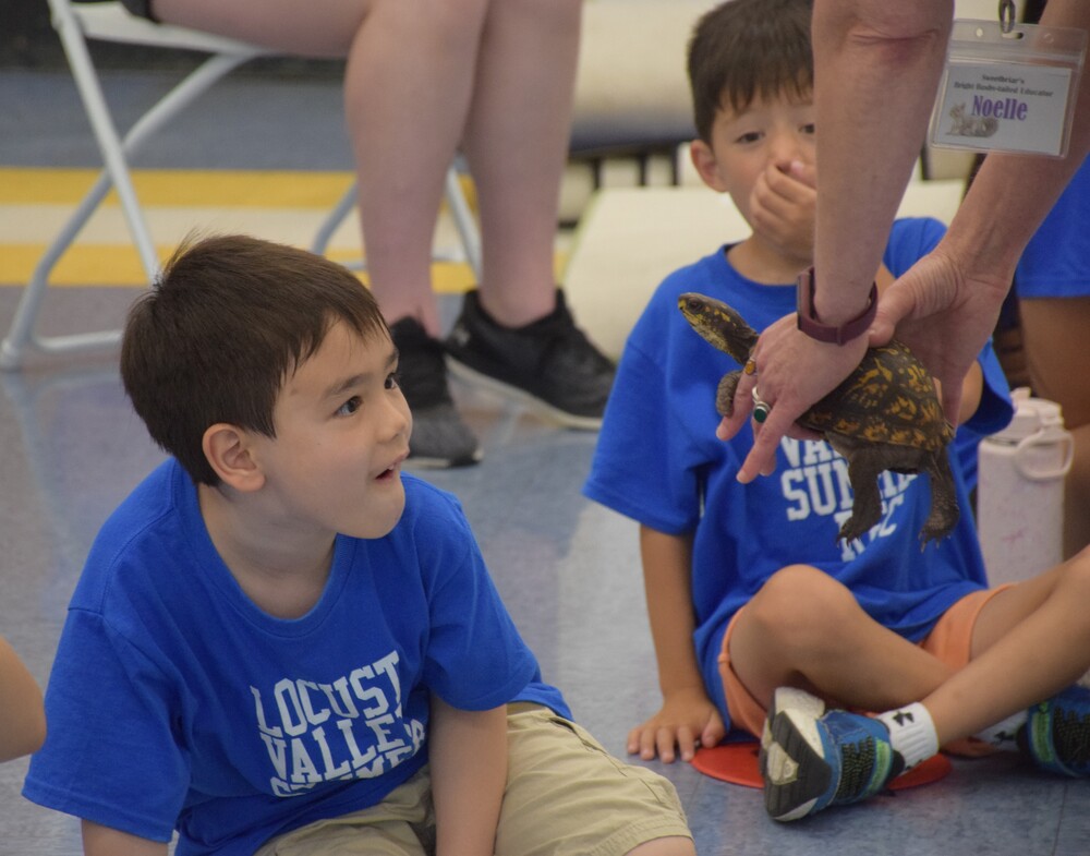 A summer recreation camper meets a turtle from the Sweetbriar Nature Center.