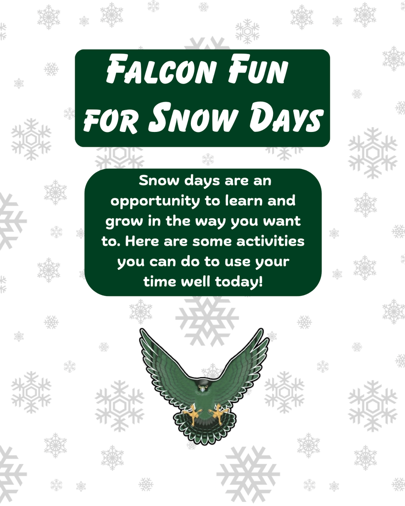 Falcon Fun for Snow Days.  Snow days are an opportunity to learn and grow in the way you want to. Here are some activities you can do to use your time well today!