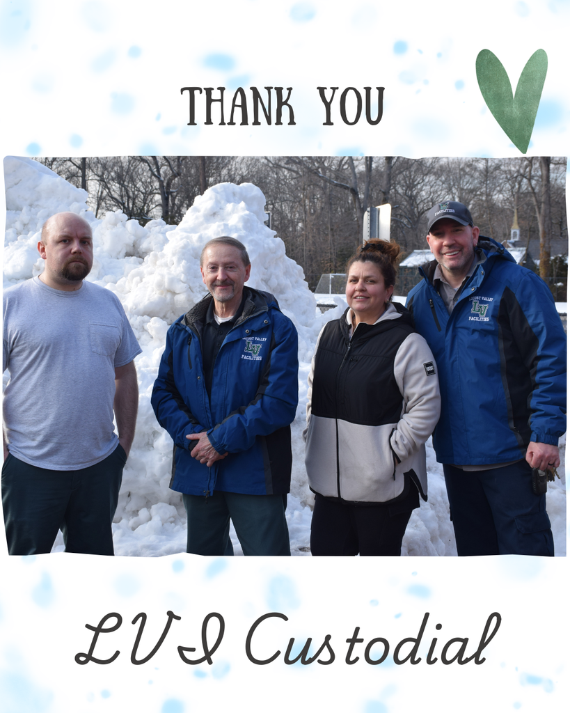 Thank You, LVI Custodial.