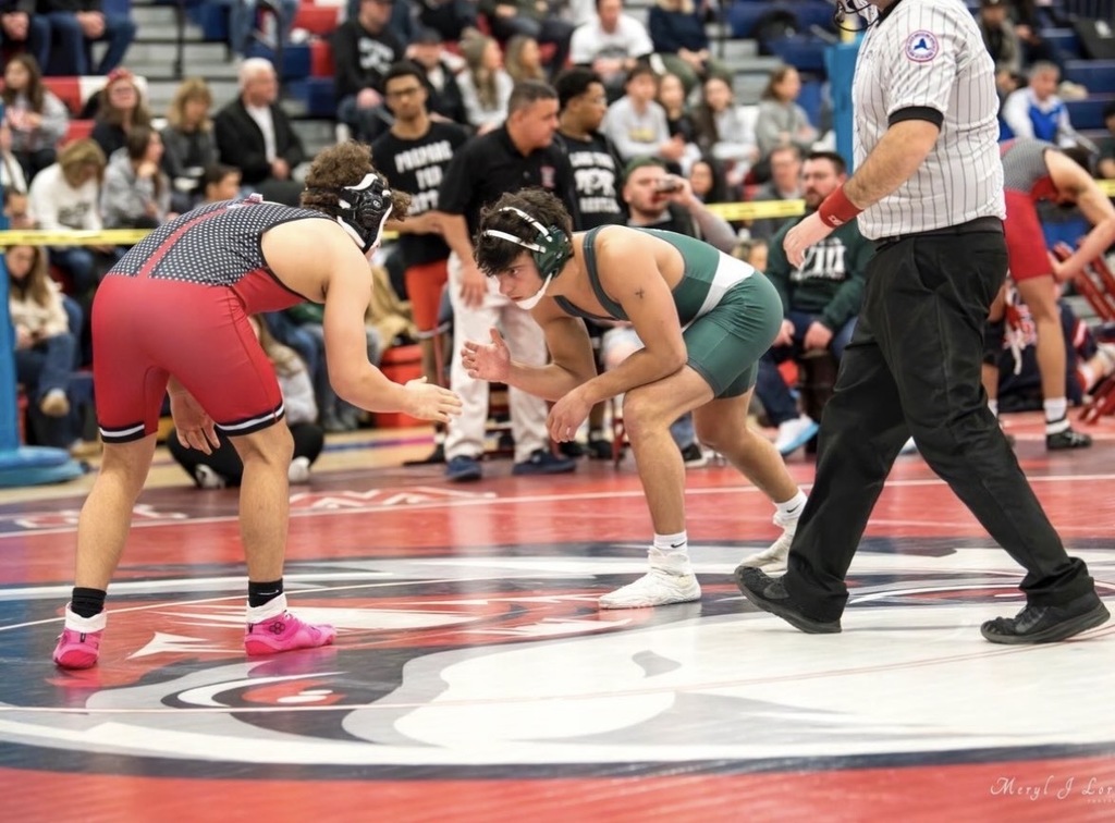 Aidan Russo placed fifth in the D2 county championships.