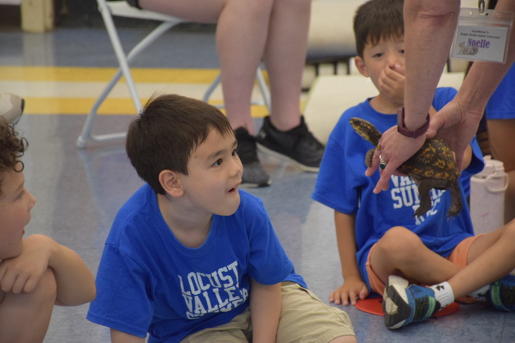 A summer recreation camper meets a turtle from the Sweetbriar Nature Center.