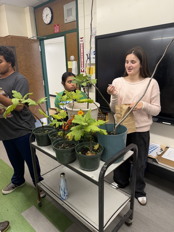 Garden Club