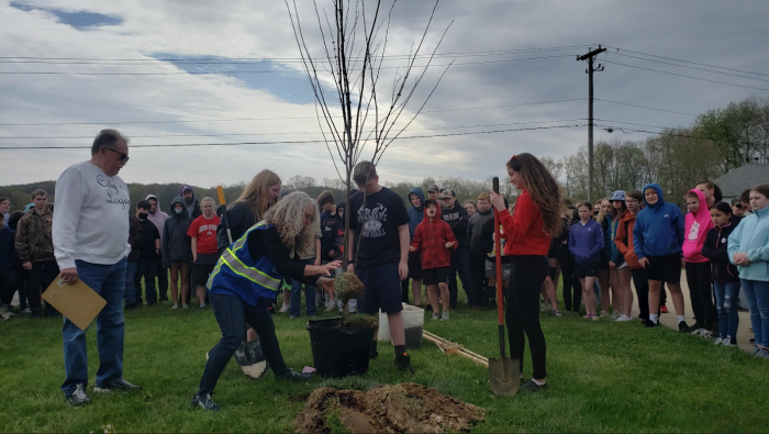 Teachers and students plant a tree.