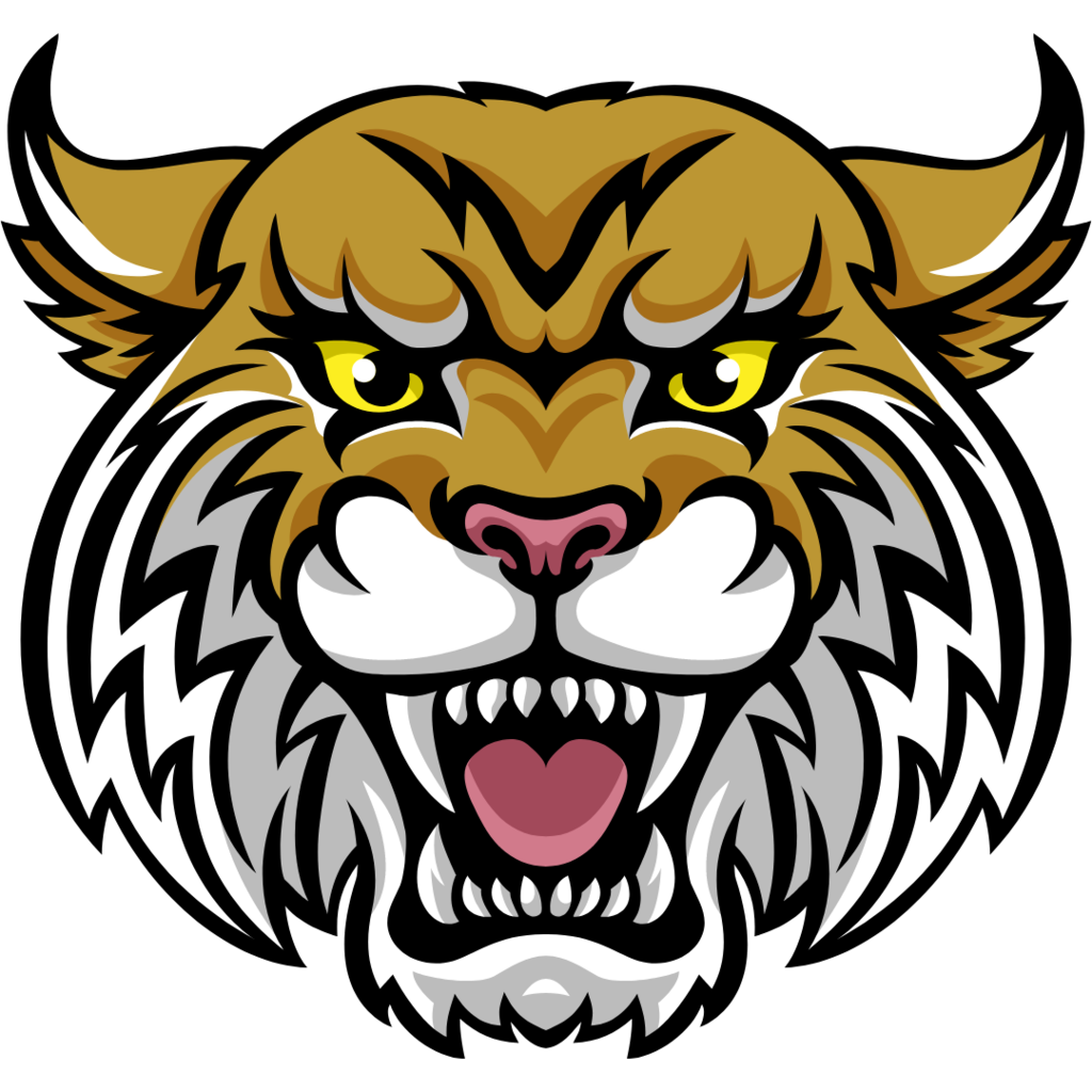 wildcat