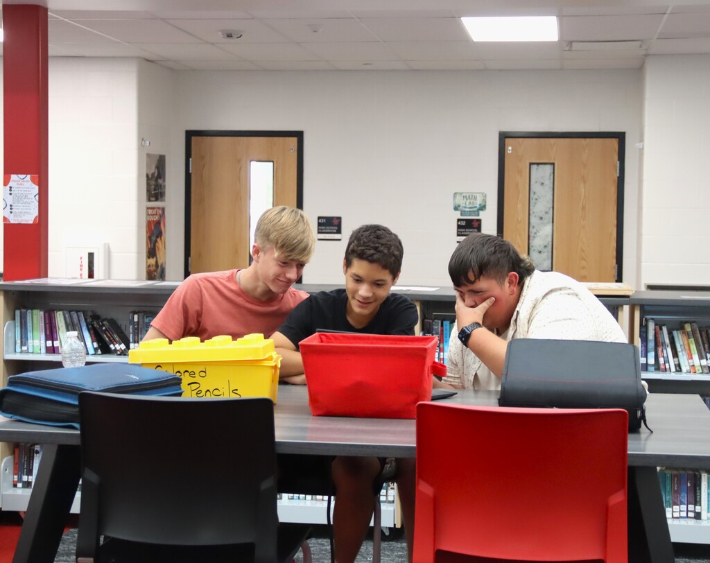 Students working together in the library