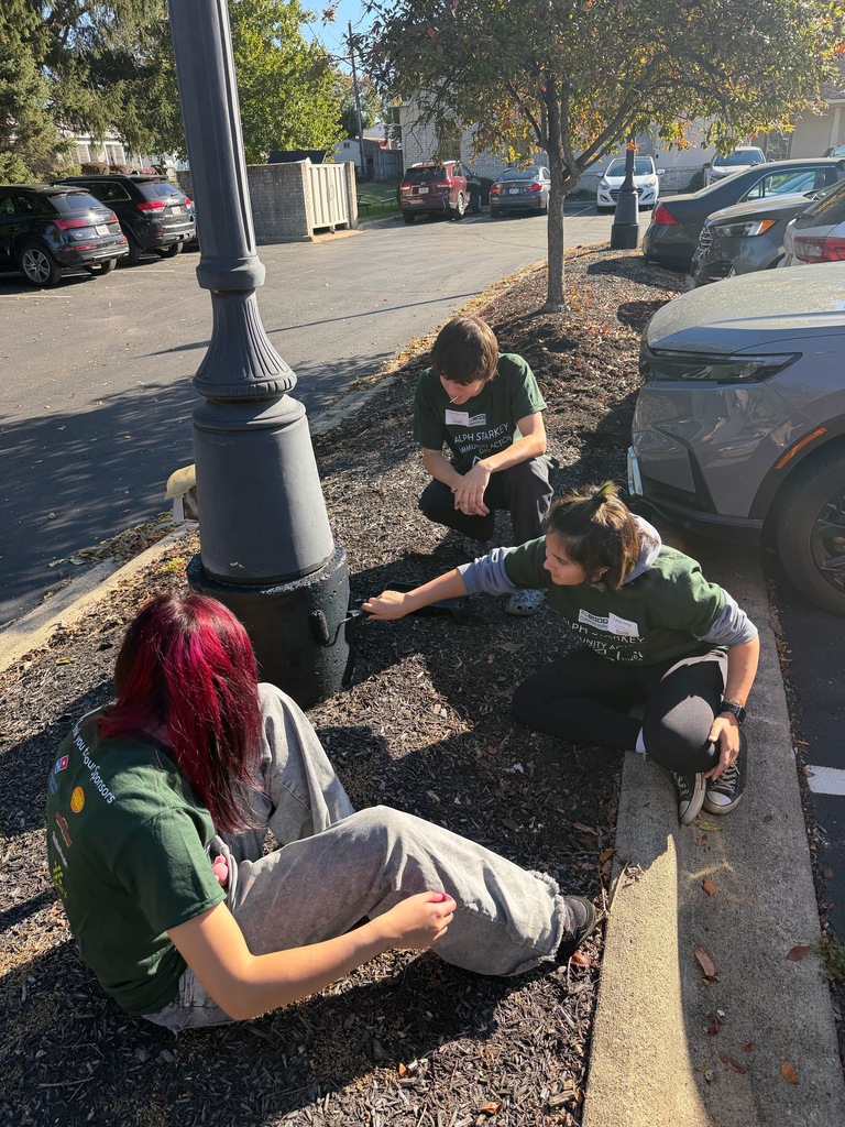 Community Action Day 