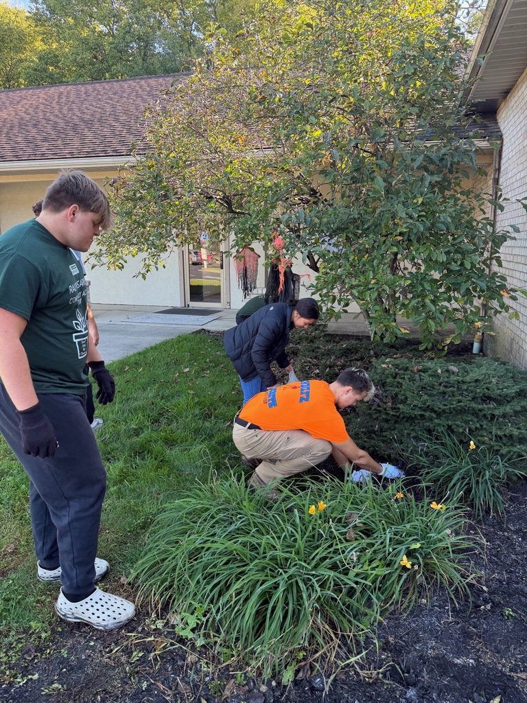 Community Action Day 