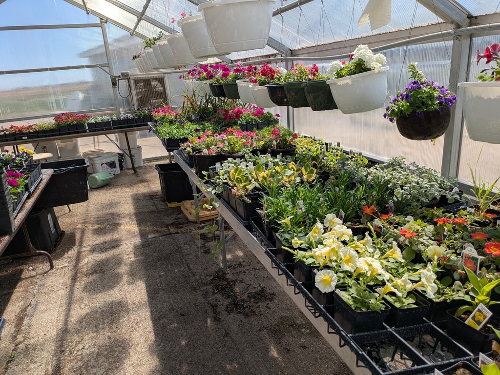 right side of the greehouse.