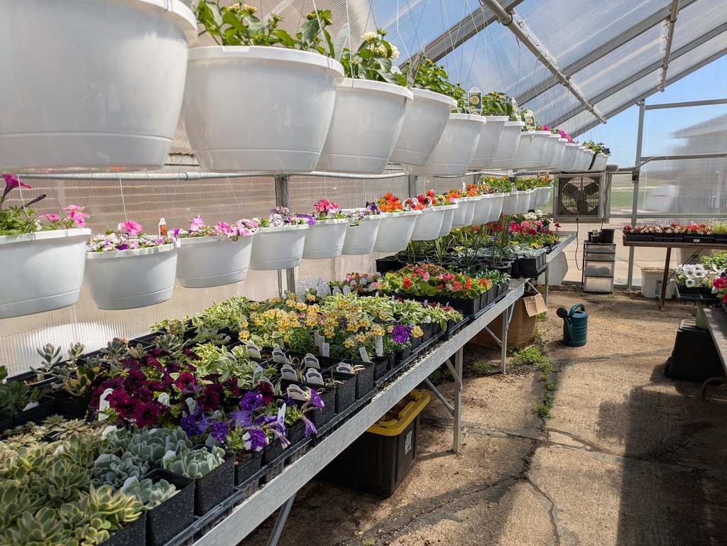 Left side of the greenhouse.