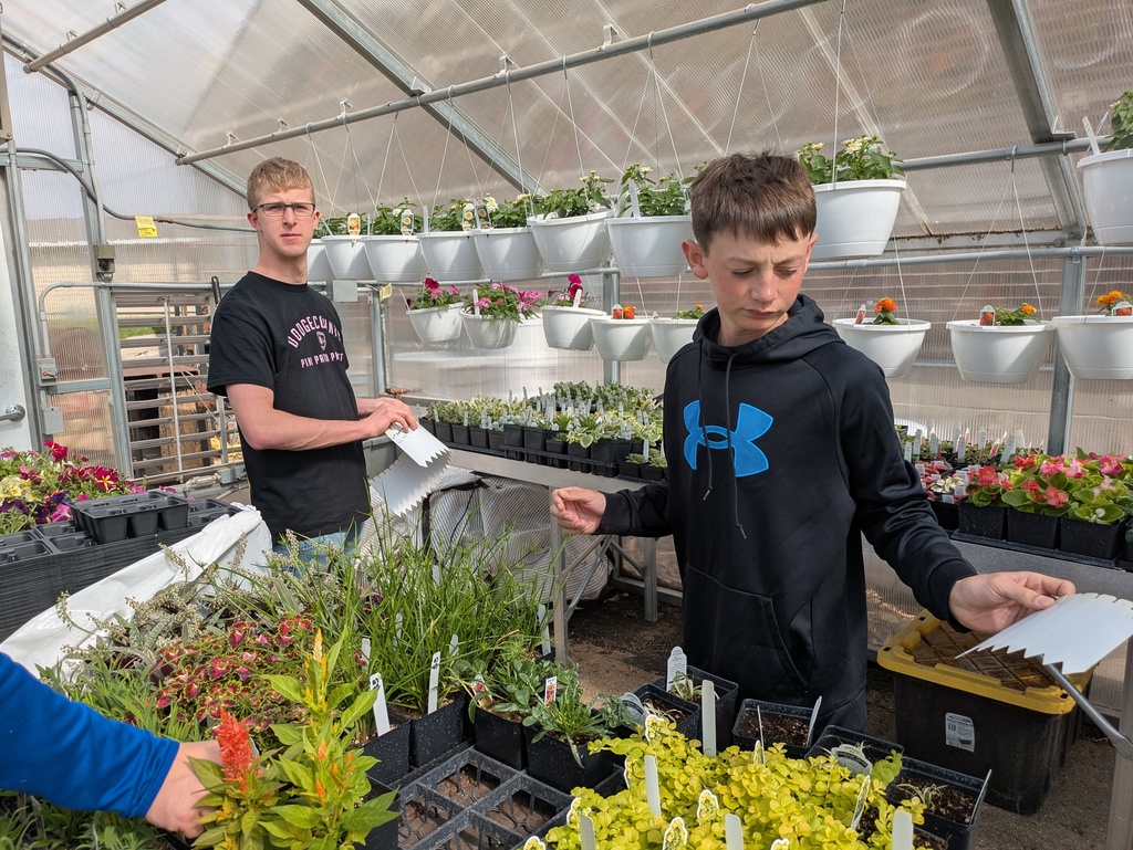 Grant and Jaxson tagging plants.