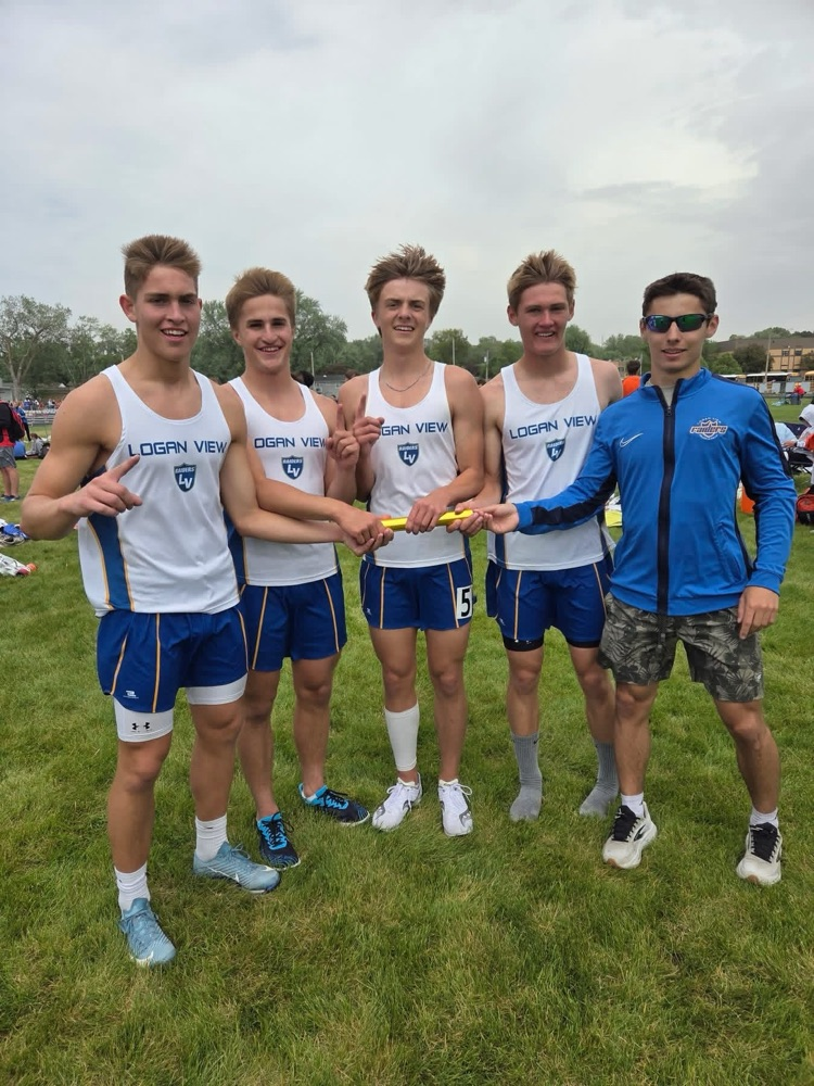 4x8