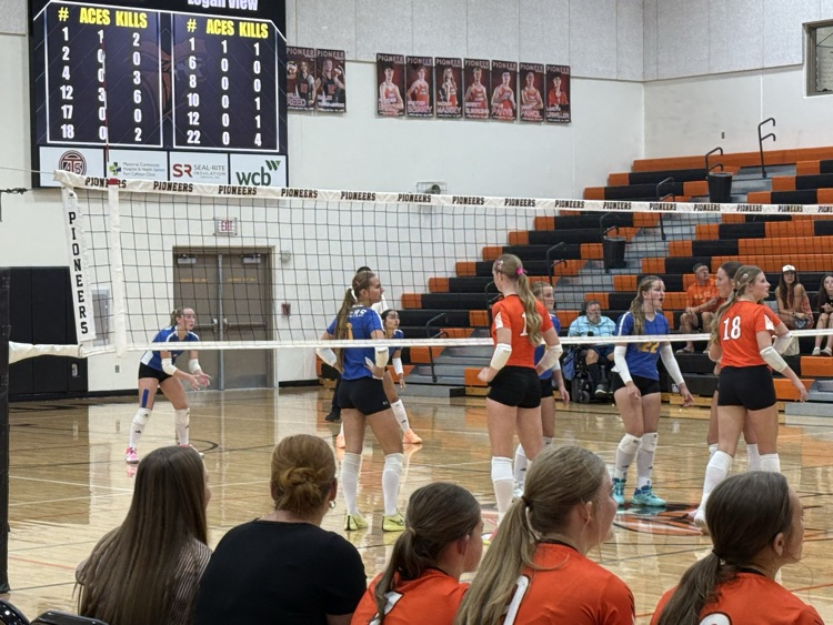 volleyball