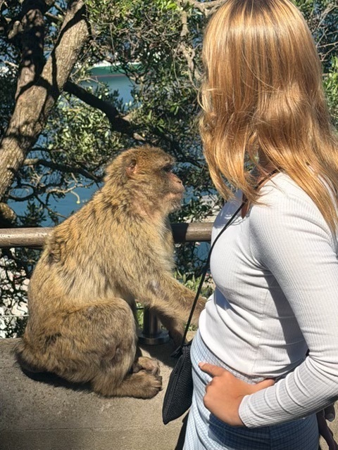 Gibraltar