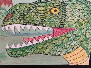 Mrs.  Mayer's classroom collections