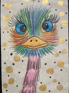 Mrs.  Mayer's classroom collections