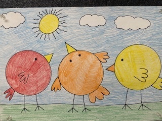 Mrs.  Mayer's classroom collections