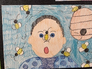 Mrs.  Mayer's classroom collections