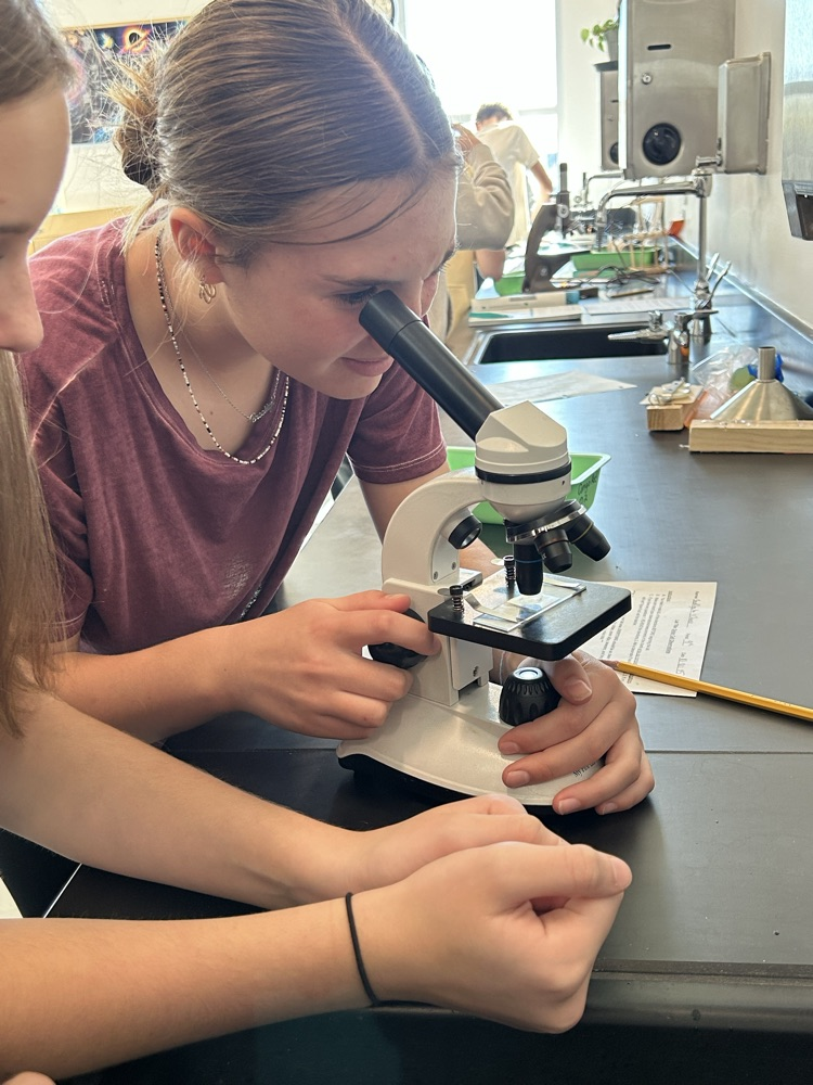 Students use a microscope to look at onion skin cells.