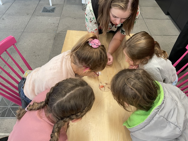 First Grade at SpectrUM